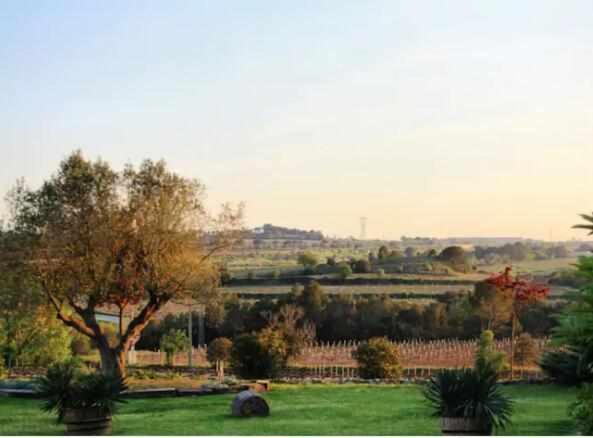 Masia Olivera Sant Pau d'Ordal Dış mekan fotoğraf